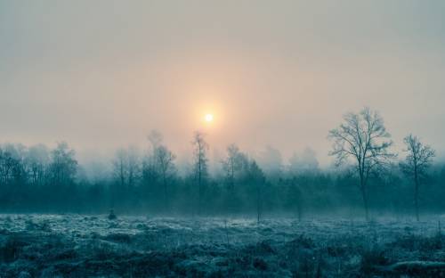 Туман, утро, пейзаж - Пейзажи