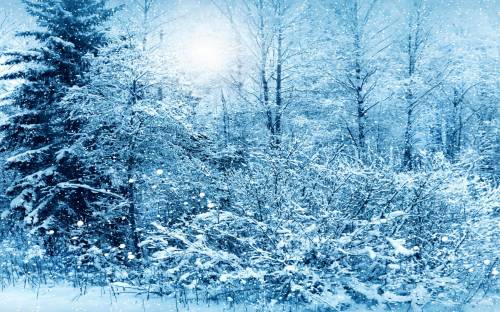 Фото, зима, природа - Пейзажи