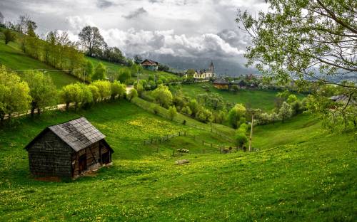 Румыния, трава, деревья - Пейзажи