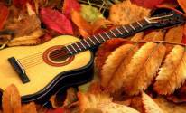 Музыка, листья, гитара