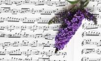 Музыка, цветы, ноты