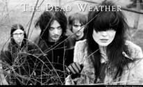 Фото The Dead Weather