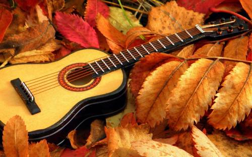 Музыка, листья, гитара - Музыка