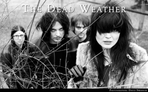 Фото The Dead Weather - Музыка