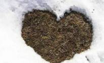 Форма сердца из снега