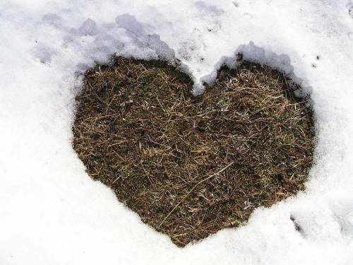 Форма сердца из снега - Любовь