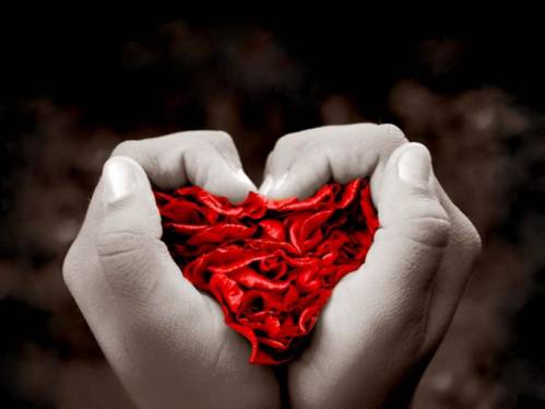 Цветок в форме сердца - Любовь