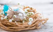 Яйцо, гнездо, праздник Пасха