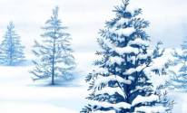 Фон елки в снегу