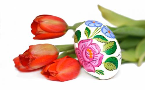 Яйцо, писанка, тюльпаны - Праздники