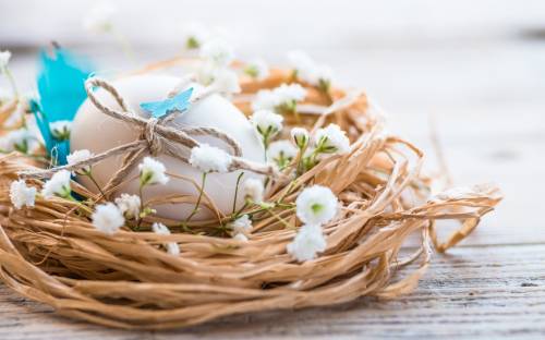 Яйцо, гнездо, праздник Пасха - Праздники