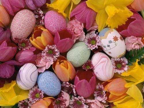 Яйца среди цветов - Праздники