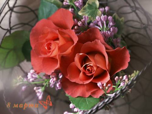 Розы на праздник - Праздники