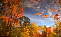 Осень, вода, отражение