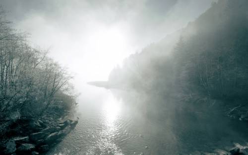 Туман, река, лес - Природа