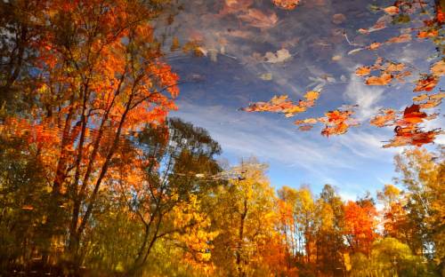 Осень, вода, отражение - Природа