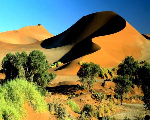 Песчаная гора - Природа