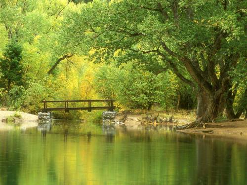 Фото мост через реку - Природа