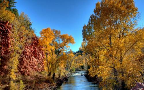 Фото осень, деревья у реки - Природа