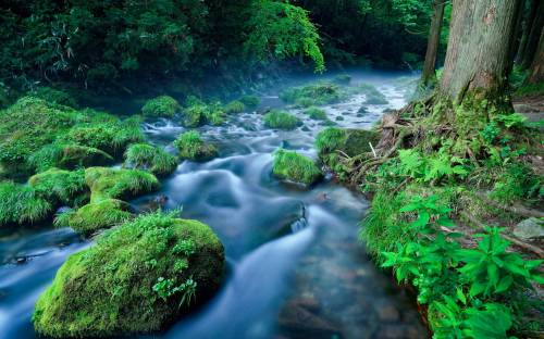 Лес, река, камни - Природа