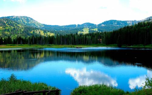Озеро, горы, деревья - Природа