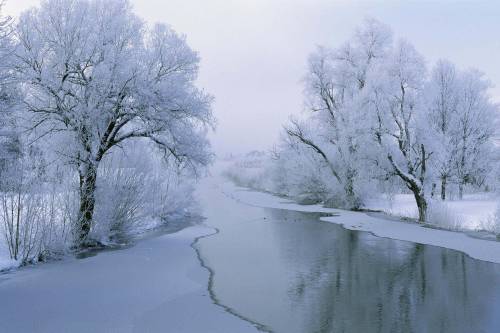 Картинка зимняя природа - Природа