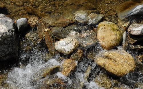 Ручей, камни, вода - Природа