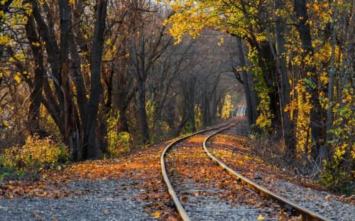 Природа, осень, железная дорога - Природа