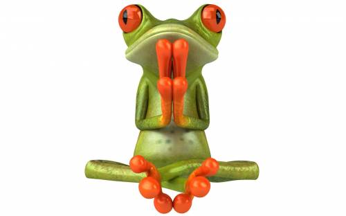 Зеленая жаба - Прикольные