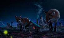 Ночь, дом, лисы