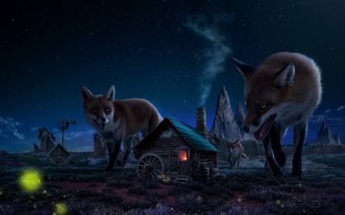 Ночь, дом, лисы - Фэнтези