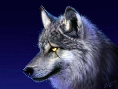 Голова серого волка - Фэнтези