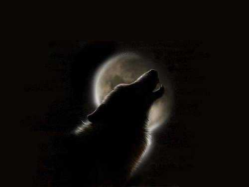 Волк воет на луну - Фэнтези