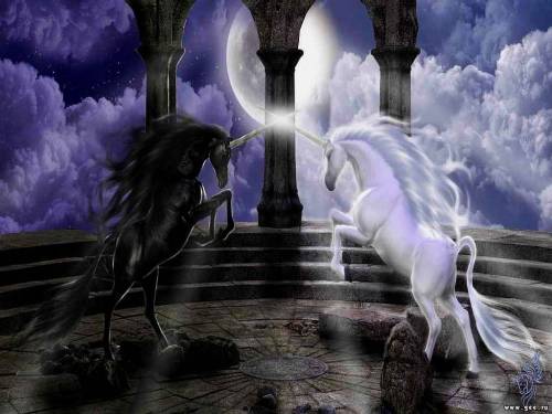 Черная и белая лошади - Фэнтези