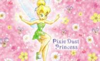 Pixie Dust Princess