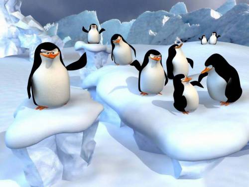 Пингвины на льдинах - Детские