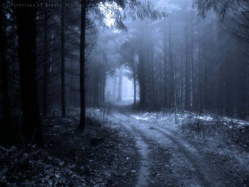 Дорога через лес - Черно-белые