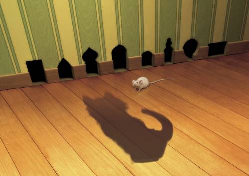 Мышка, норки, кошка - Креативные
