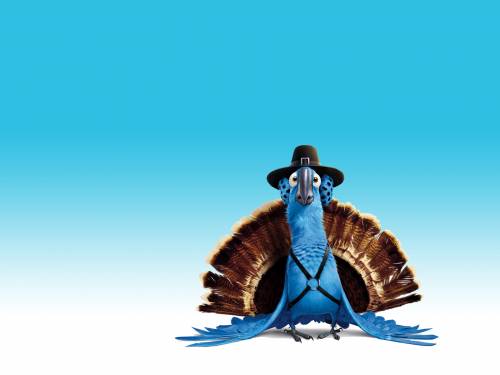 Прикольный синий попугай - Креативные