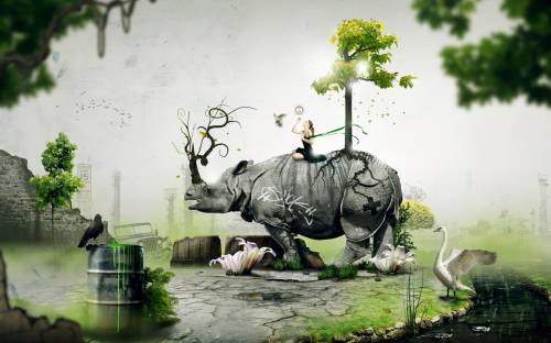 Креативная картинка с носорогом - Креативные