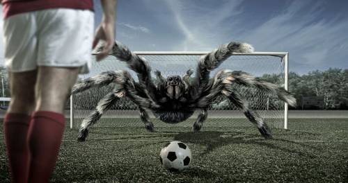 Самый огромный паук - Креативные