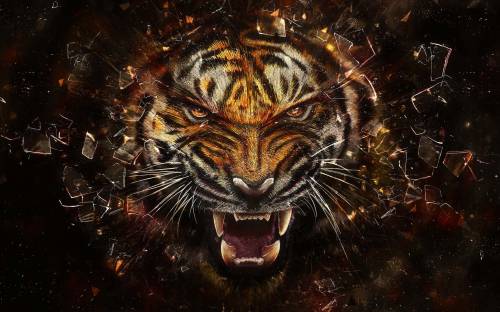 Оскал тигра - Креативные