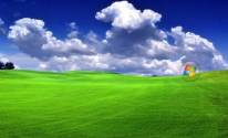 Трава и облака