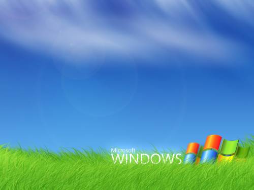 Логотип в траве - Windows