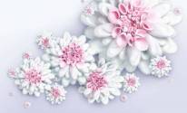 Белые цветы на белом фоне