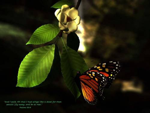 Бабочка на листике - Цветы