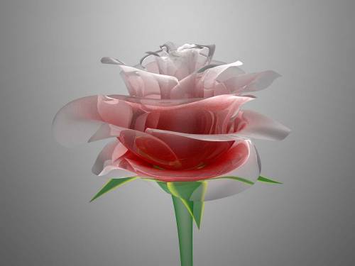 Стеклянная роза - Цветы