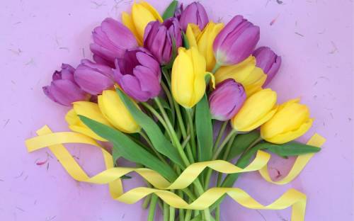 Букет, тюльпаны - Цветы