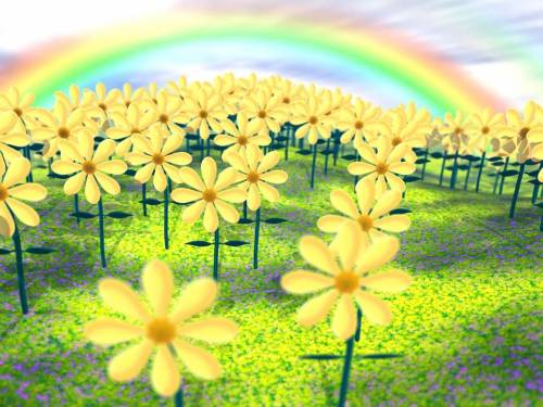 Желтые цветочки и радуга - Цветы