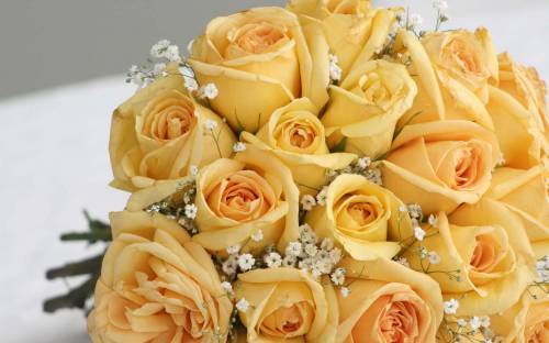Букет желтых роз - Цветы